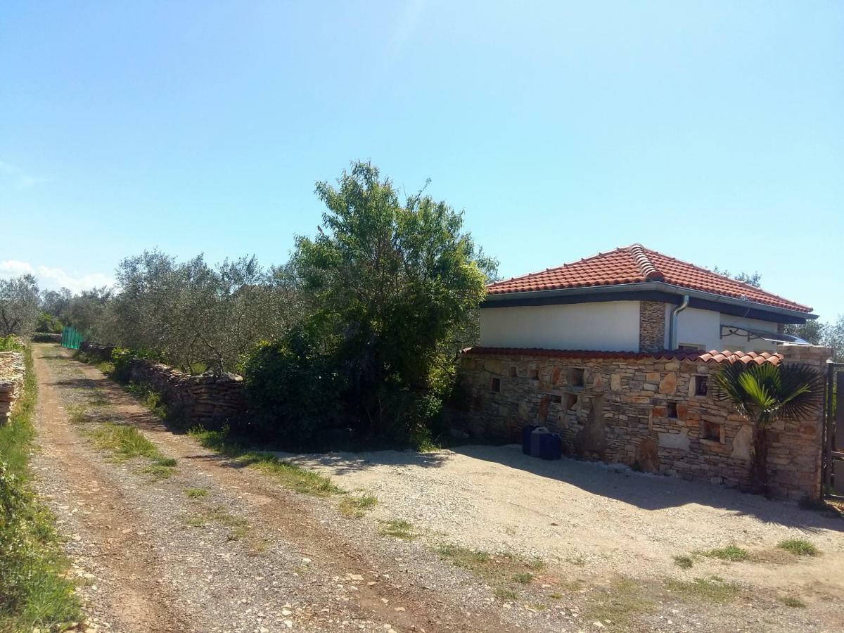 Studio Apartman Vortex Fažana Exteriör bild